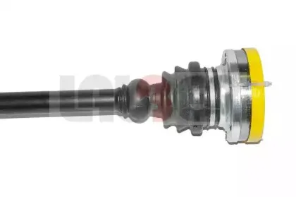 lauber-882547