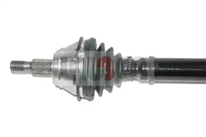 lauber-882552