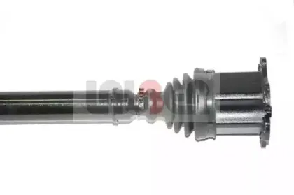 lauber-882552