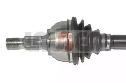 lauber-882602