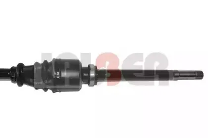 lauber-882619