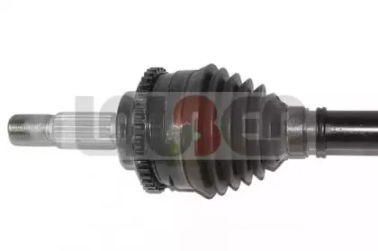 lauber-882622