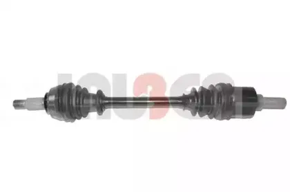 lauber-882624