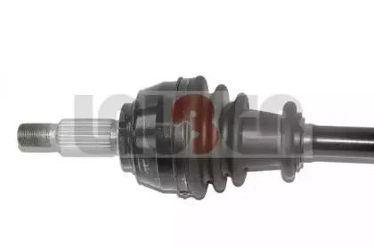 lauber-882624