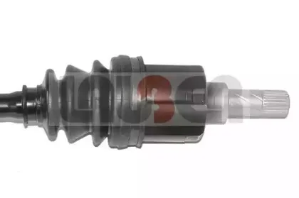 lauber-882624