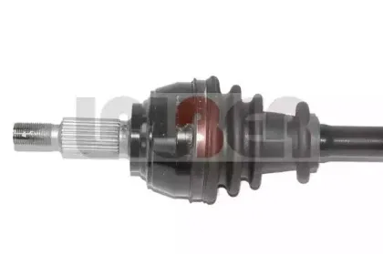 lauber-882625
