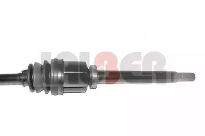 lauber-882625