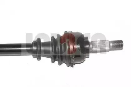 lauber-882627