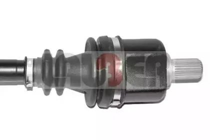 lauber-882629