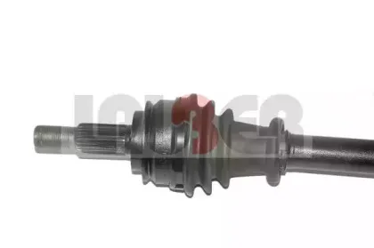 lauber-882631