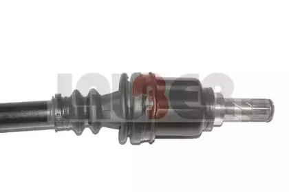 lauber-882631
