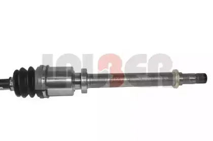 lauber-882632