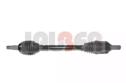 lauber-882637