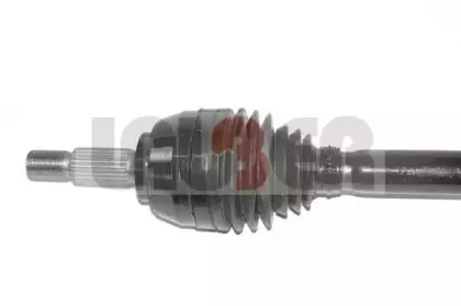 lauber-882637