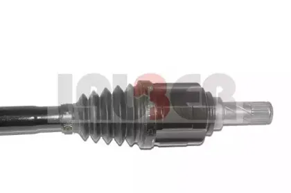 lauber-882637