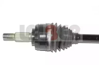 lauber-882644