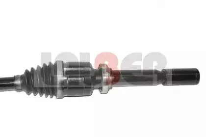 lauber-882644