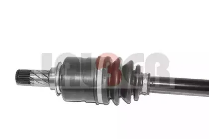 lauber-882650