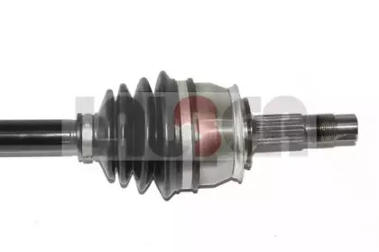 lauber-882650