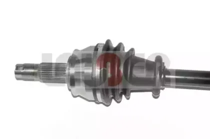 lauber-882651
