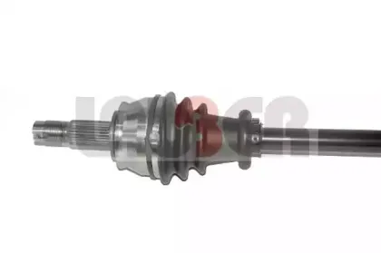lauber-882652