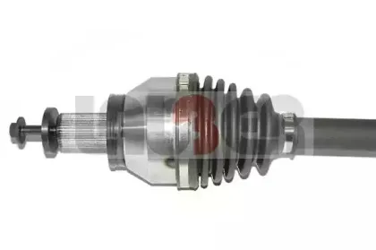 lauber-882673