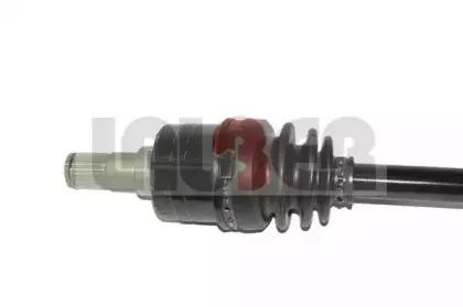 lauber-882676