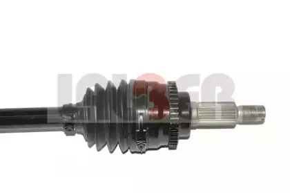 lauber-882676