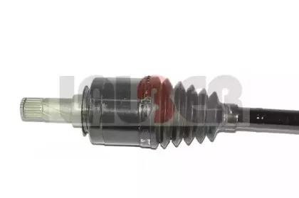 lauber-882678