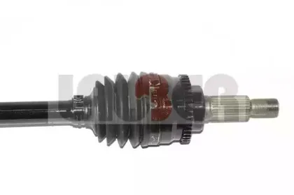 lauber-882678