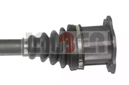 lauber-882684
