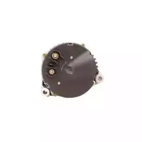 lauber-111491