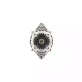 lauber-111520