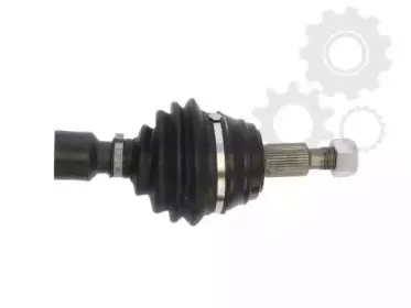lauber-880282