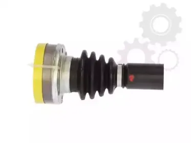 lauber-880282