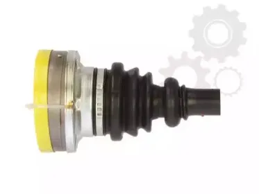 lauber-880292