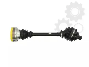 lauber-880292