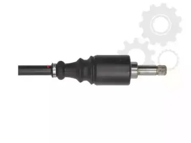 lauber-880419
