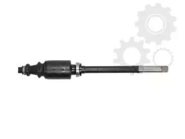 lauber-880424