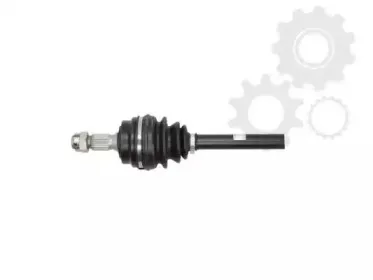 lauber-880431