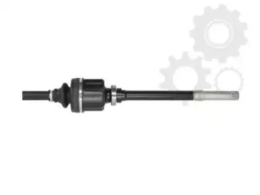 lauber-880431
