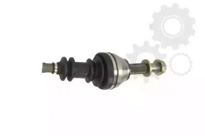 lauber-880450