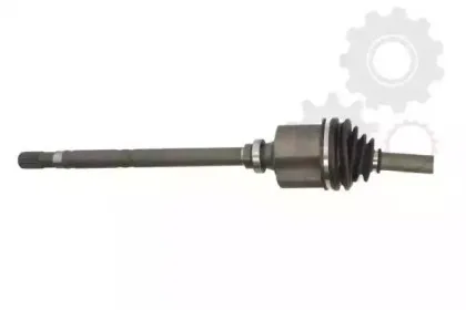 lauber-880450