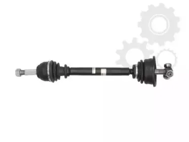lauber-880570