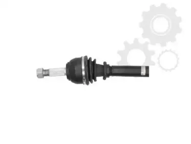 lauber-880570