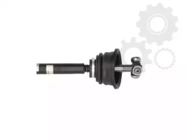 lauber-880570