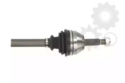 lauber-880589