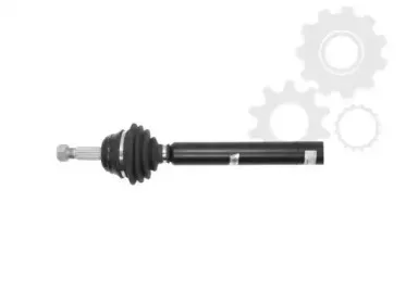 lauber-880664