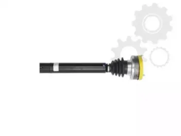 lauber-880664