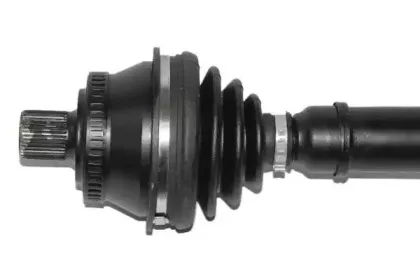 lauber-880737